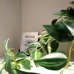 Studio83 Bed & Breakfast